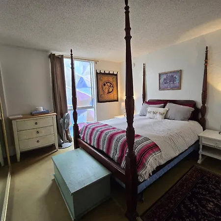 Ocean Front Vortex Female Hostel Private Rooms Free Bikes-3